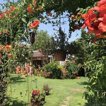 Masukiye Tatil Evi Kartepe